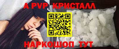 apvp Пугачёв