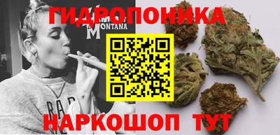 apvp Пугачёв
