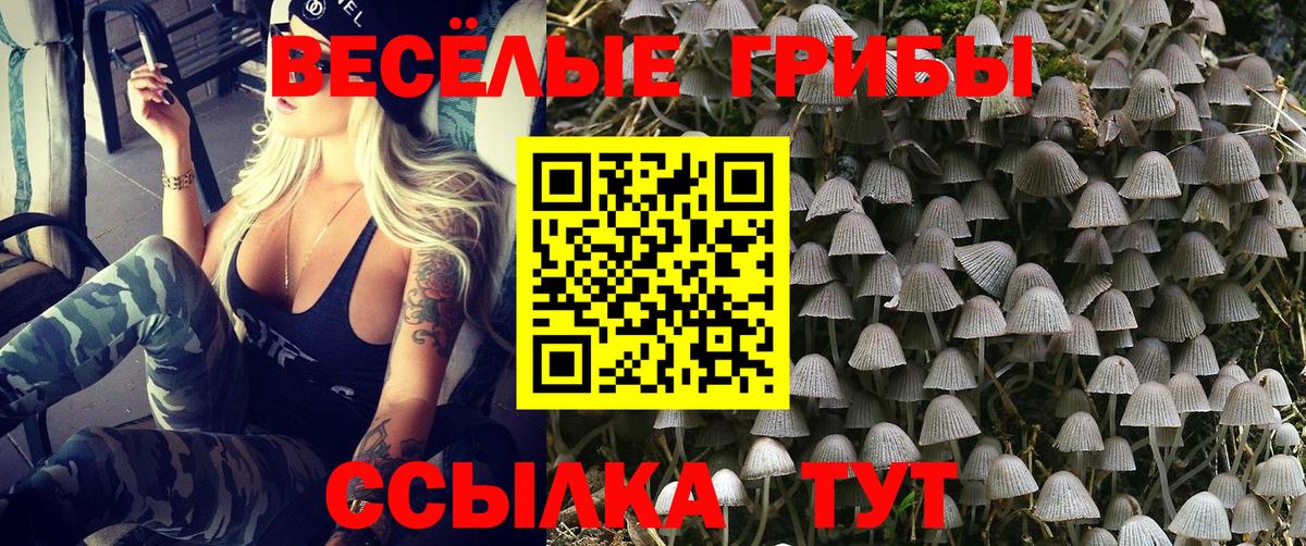 Галлюциногенные грибы GOLDEN TEACHER Уфа